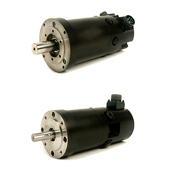 High Performance Brush DC Motors